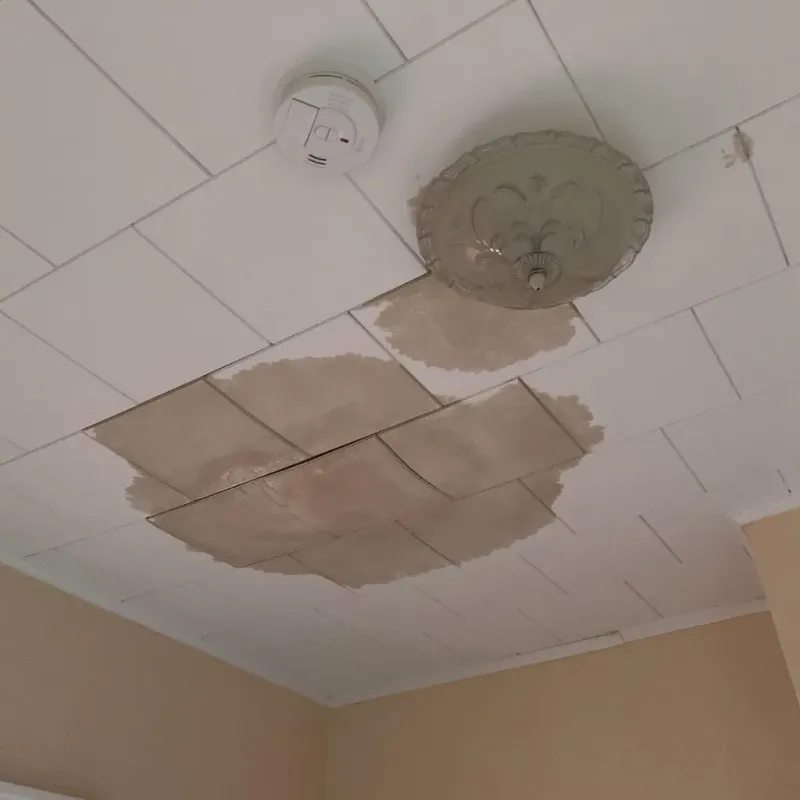 Ceiling Water Damage Repair in Iberia Parish, LA